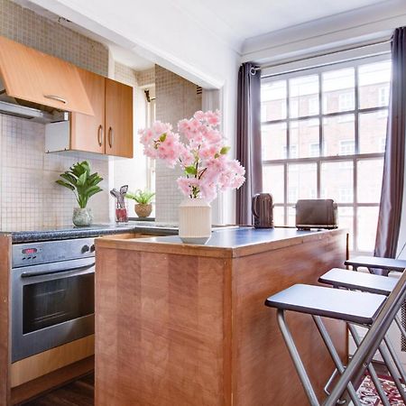 Apartmán Cozy Studio In Central Londýn Exteriér fotografie
